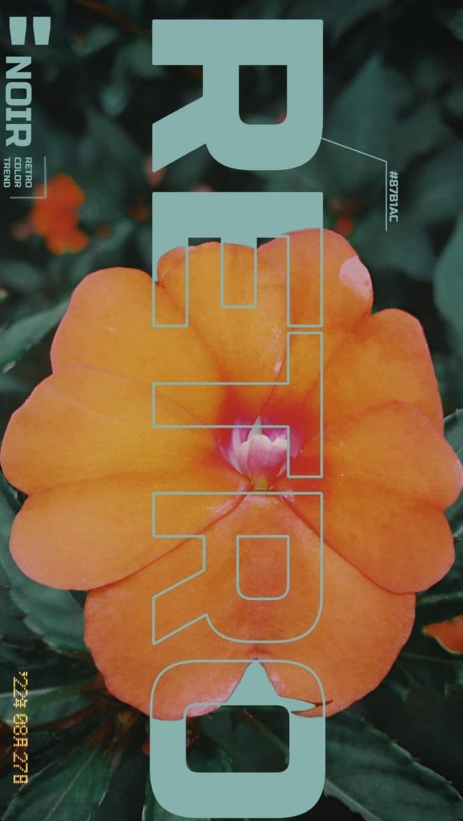 Design 2